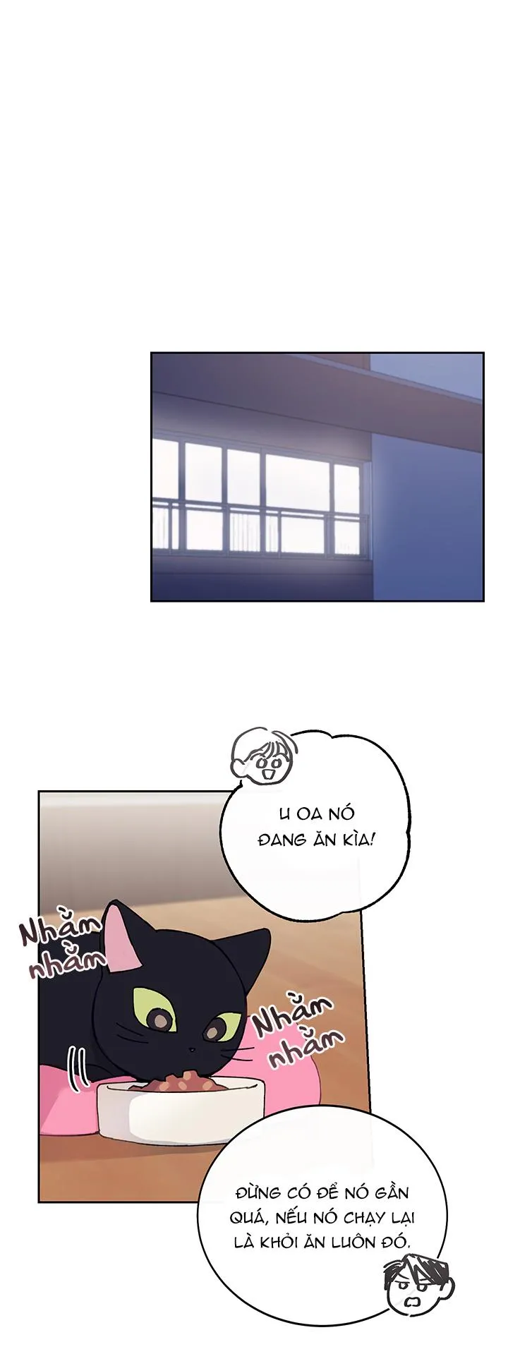 Why Not, CEO? Chapter 10 Trang 28