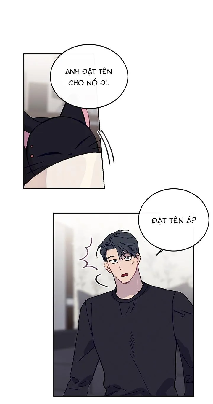 Why Not, CEO? Chapter 10 Trang 32