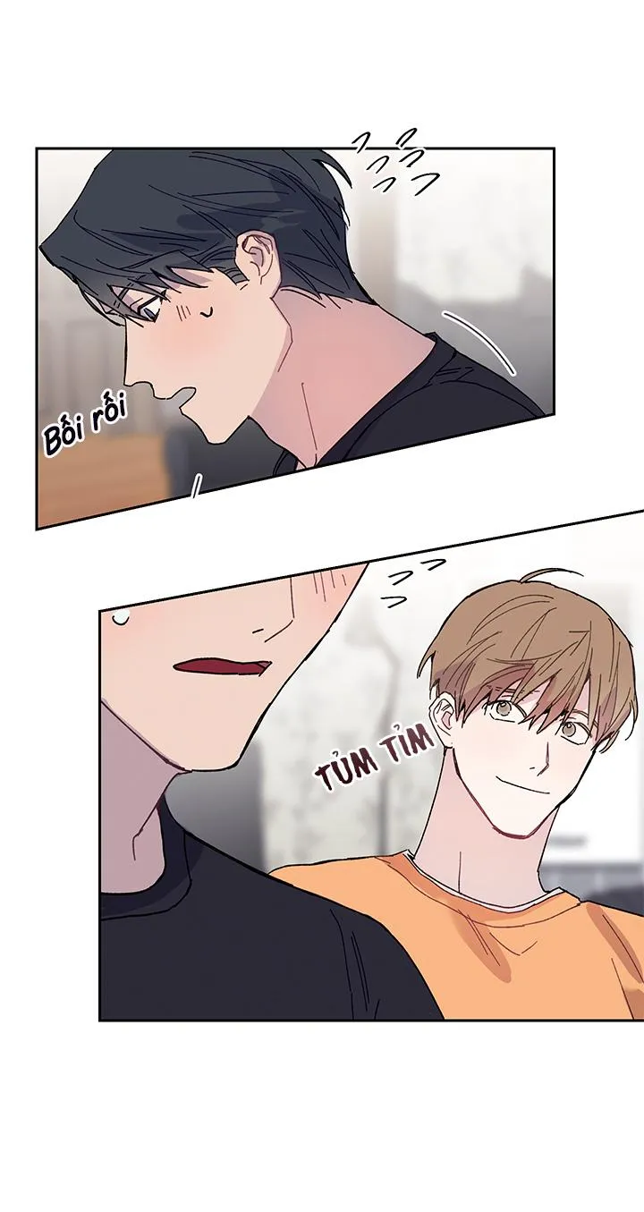 Why Not, CEO? Chapter 10 Trang 36