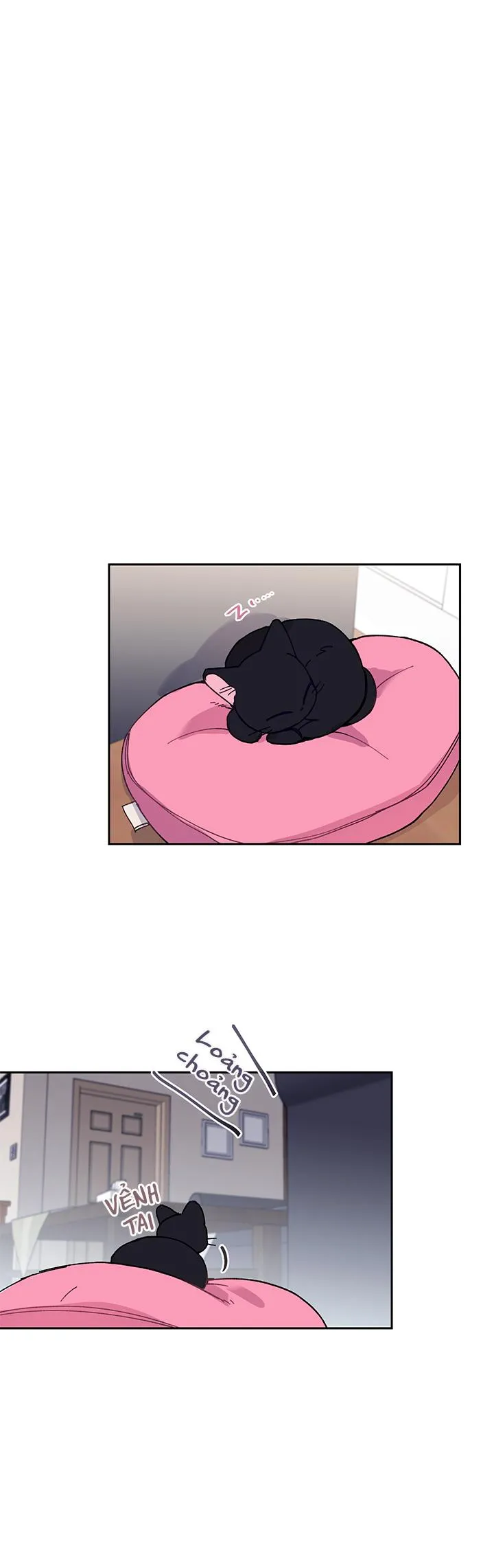 Why Not, CEO? Chapter 11 Trang 14