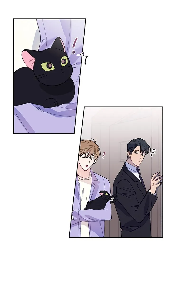 Why Not, CEO? Chapter 11 Trang 26