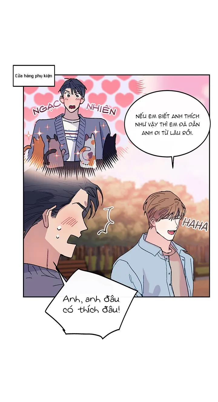 Why Not, CEO? Chapter 12 Trang 33