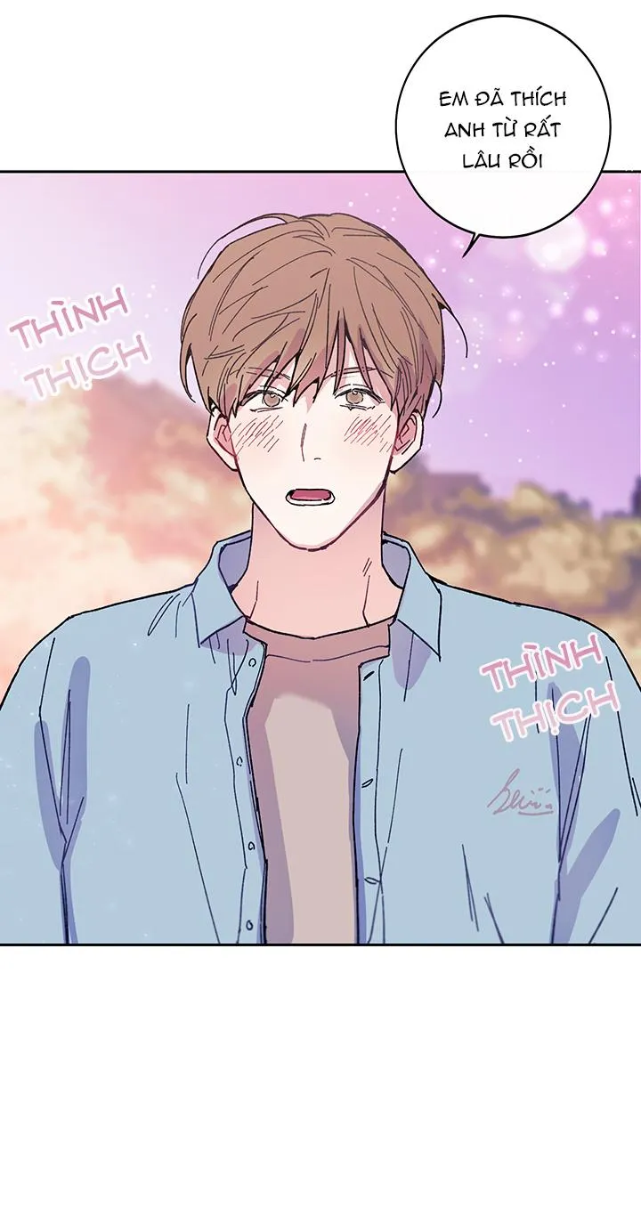 Why Not, CEO? Chapter 12 Trang 42