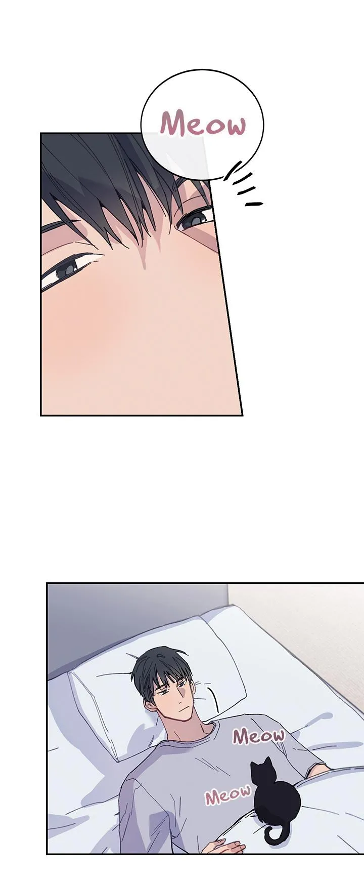 Why Not, CEO? Chapter 13 Trang 10