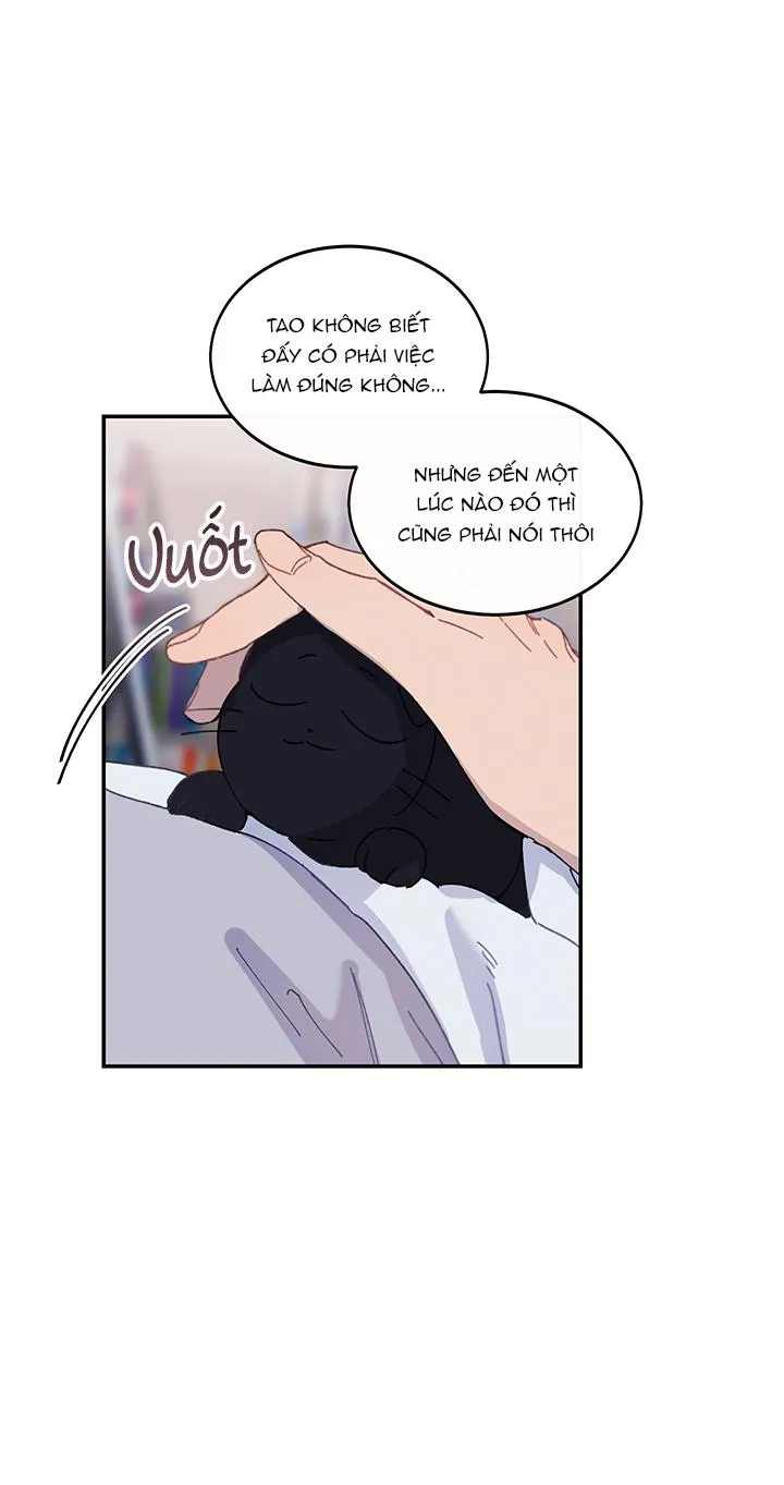 Why Not, CEO? Chapter 13 Trang 11