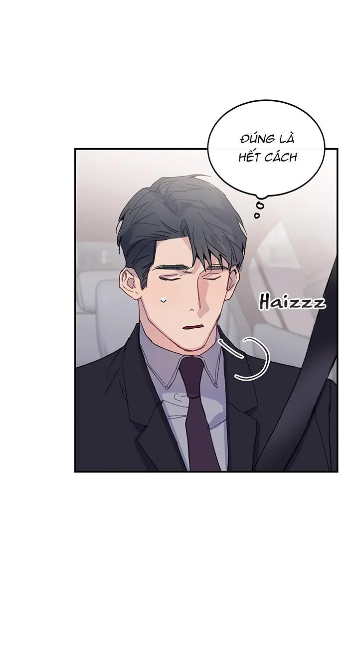Why Not, CEO? Chapter 13 Trang 19