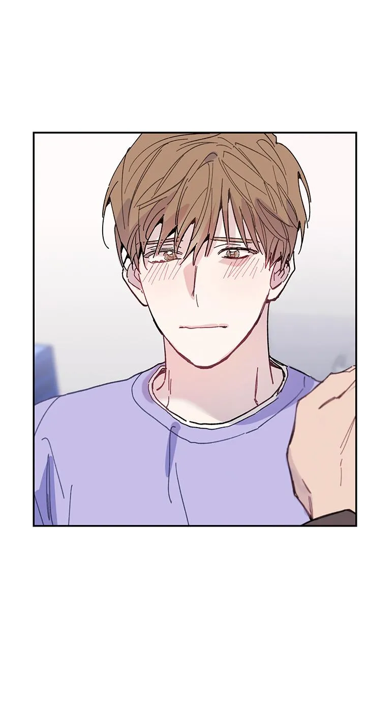 Why Not, CEO? Chapter 14 Trang 4