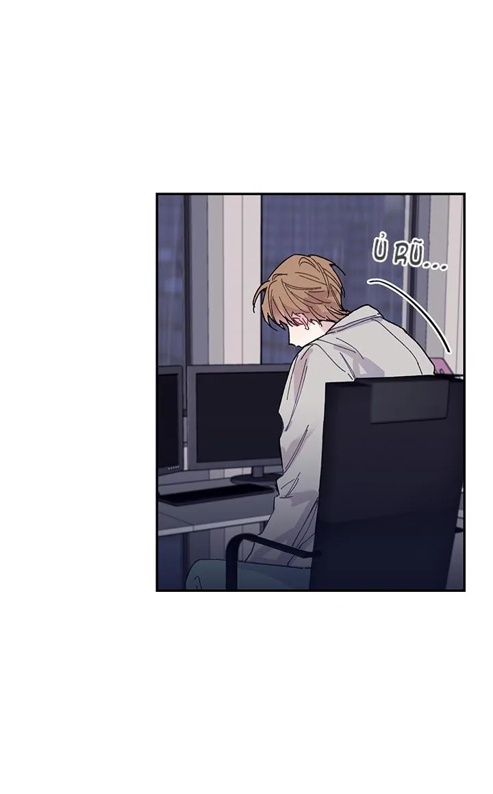 Why Not, CEO? Chapter 15 Trang 10