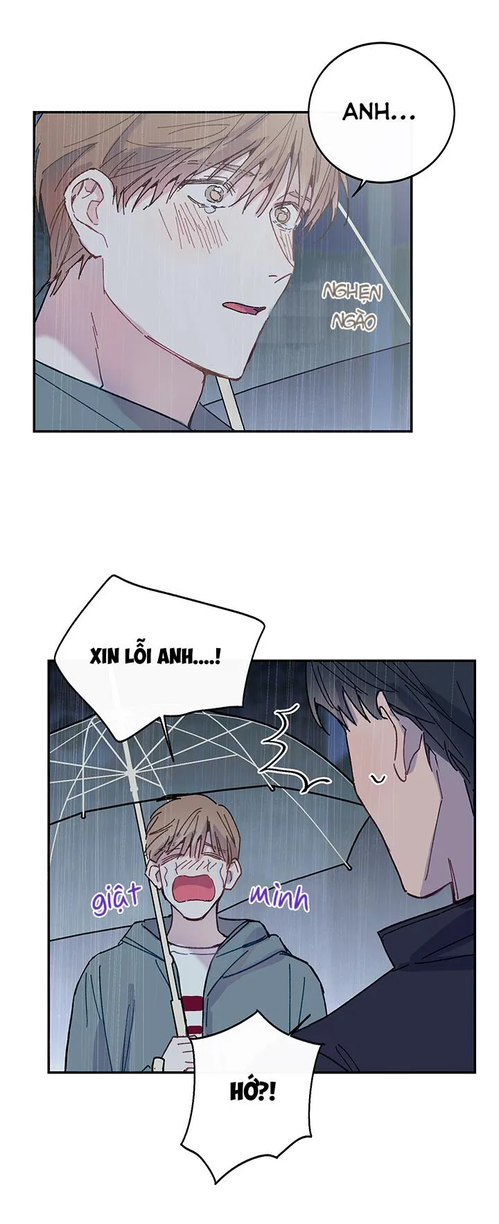 Why Not, CEO? Chapter 15 Trang 30