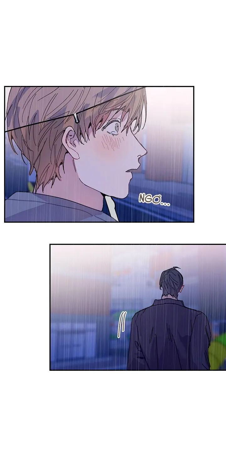 Why Not, CEO? Chapter 16 Trang 6