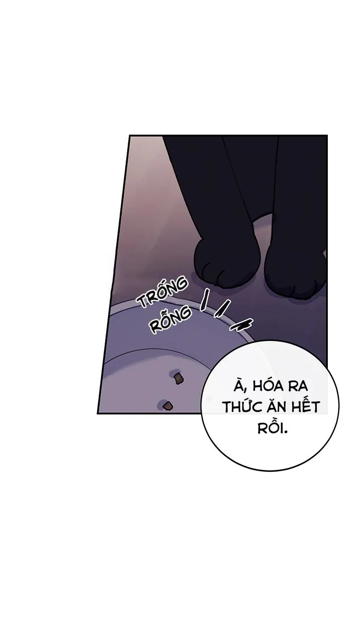 Why Not, CEO? Chapter 16 Trang 10