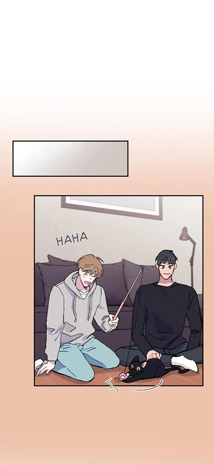 Why Not, CEO? Chapter 18 Trang 13