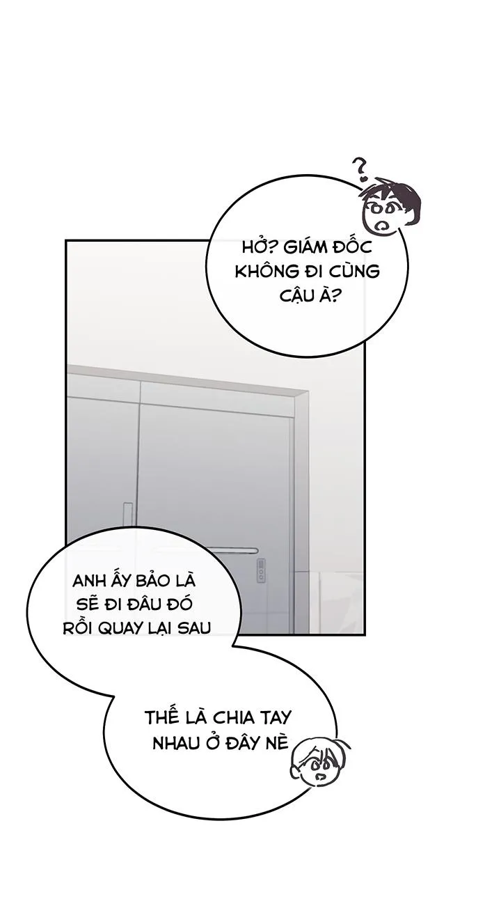 Why Not, CEO? Chapter 19 Trang 11