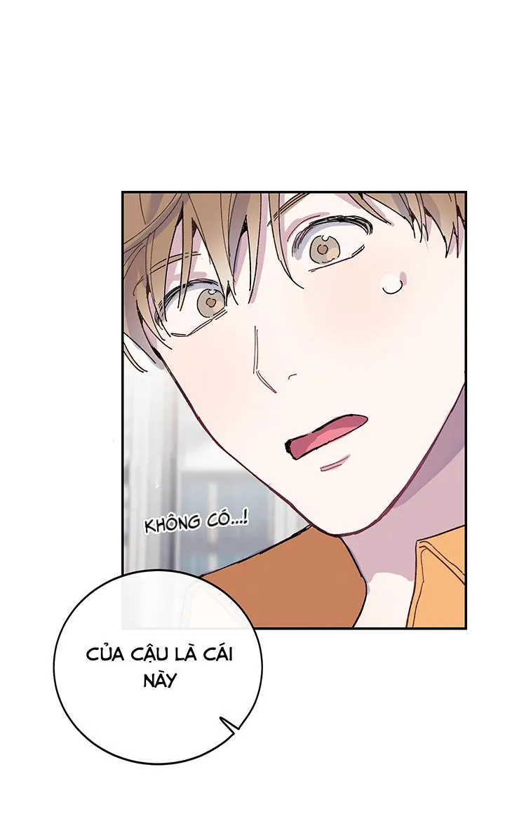 Why Not, CEO? Chapter 19 Trang 19