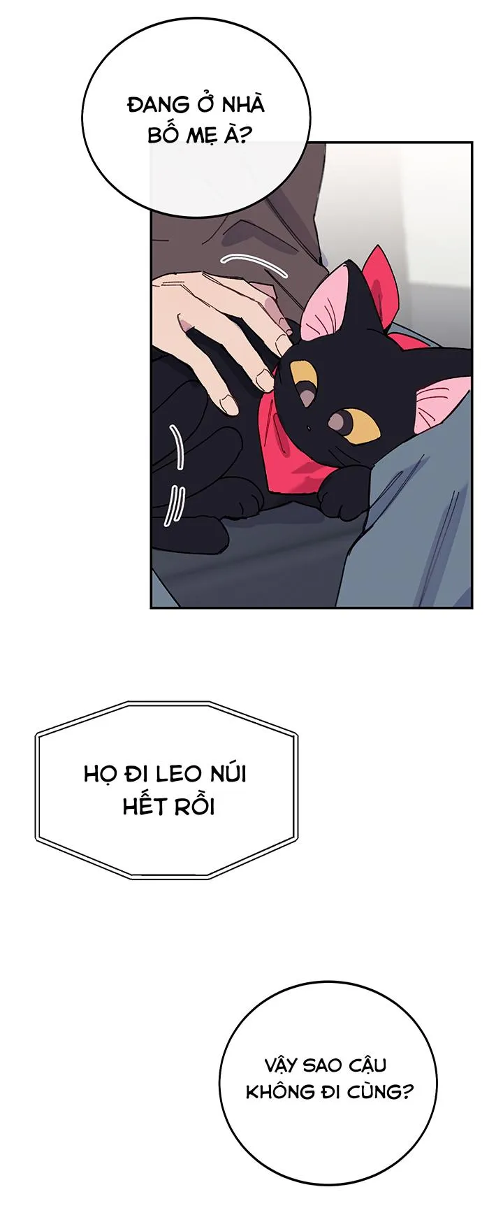 Why Not, CEO? Chapter 19 Trang 42