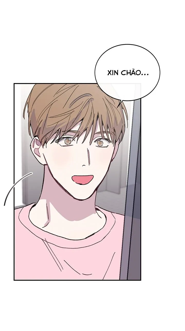 Why Not, CEO? Chapter 20 Trang 14