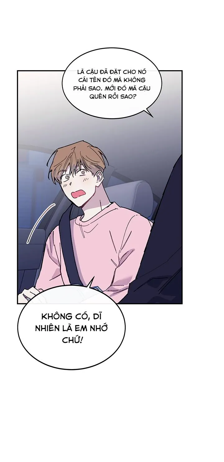 Why Not, CEO? Chapter 20 Trang 27