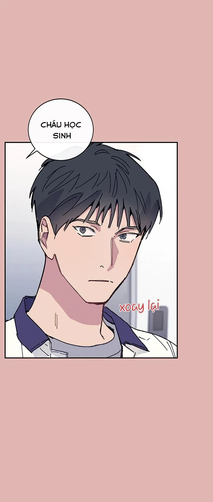 Why Not, CEO? Chapter 21 Trang 8