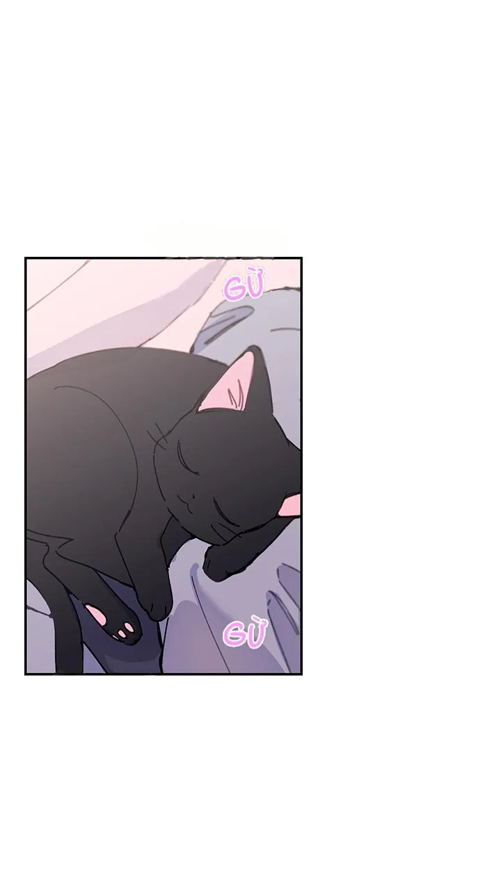 Why Not, CEO? Chapter 21 Trang 49