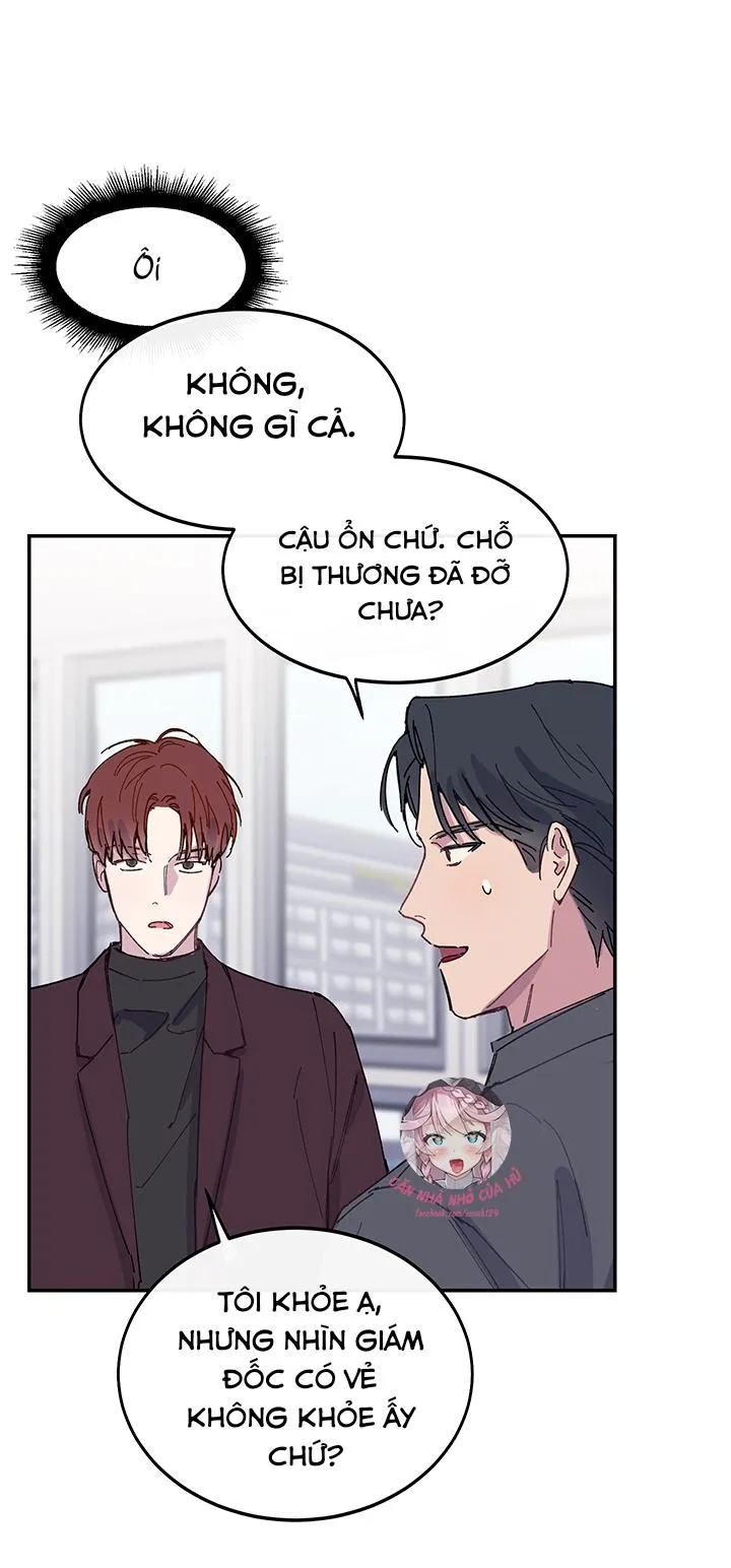 Why Not, CEO? Chapter 22 Trang 29