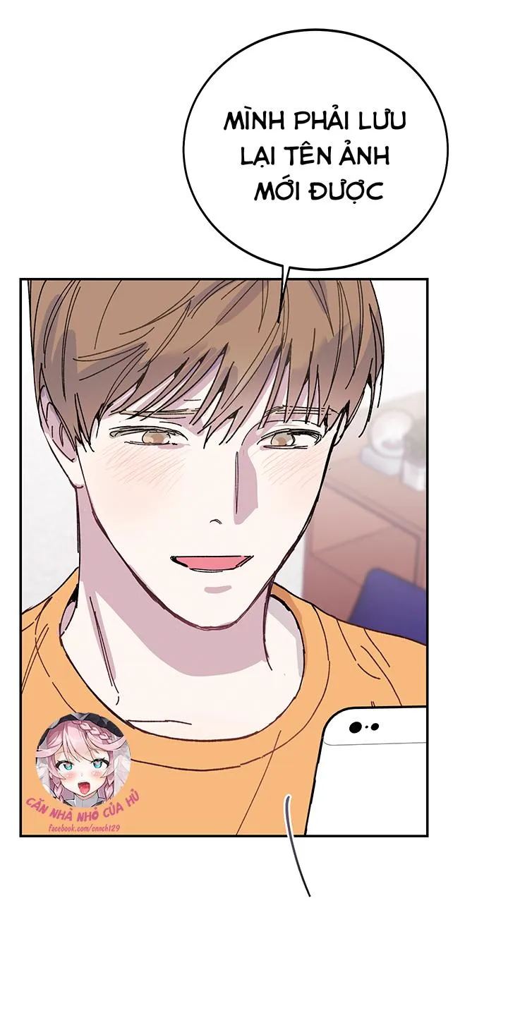 Why Not, CEO? Chapter 22 Trang 59