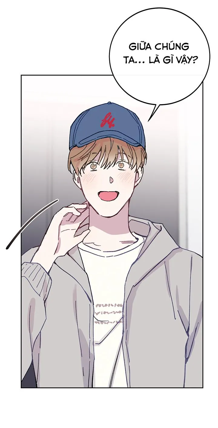 Why Not, CEO? Chapter 26 Trang 46