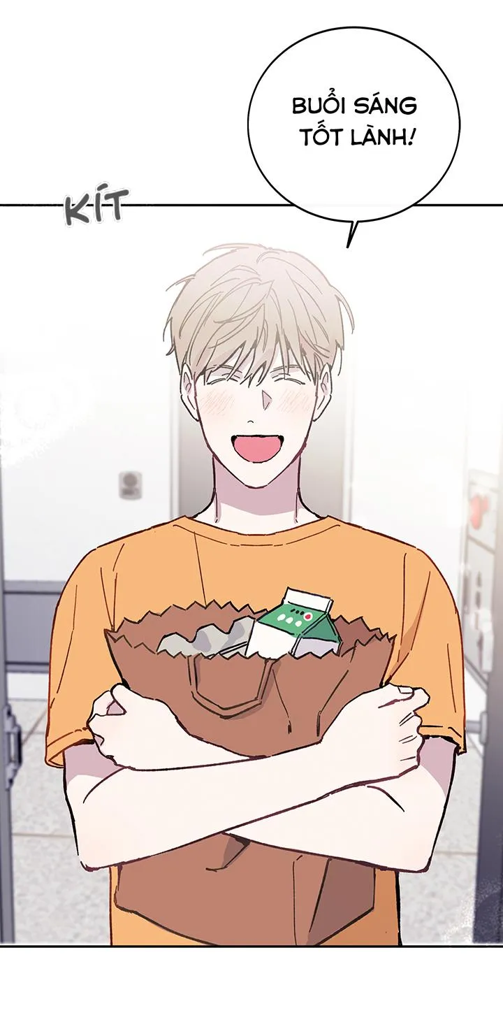 Why Not, CEO? Chapter 27 Trang 5