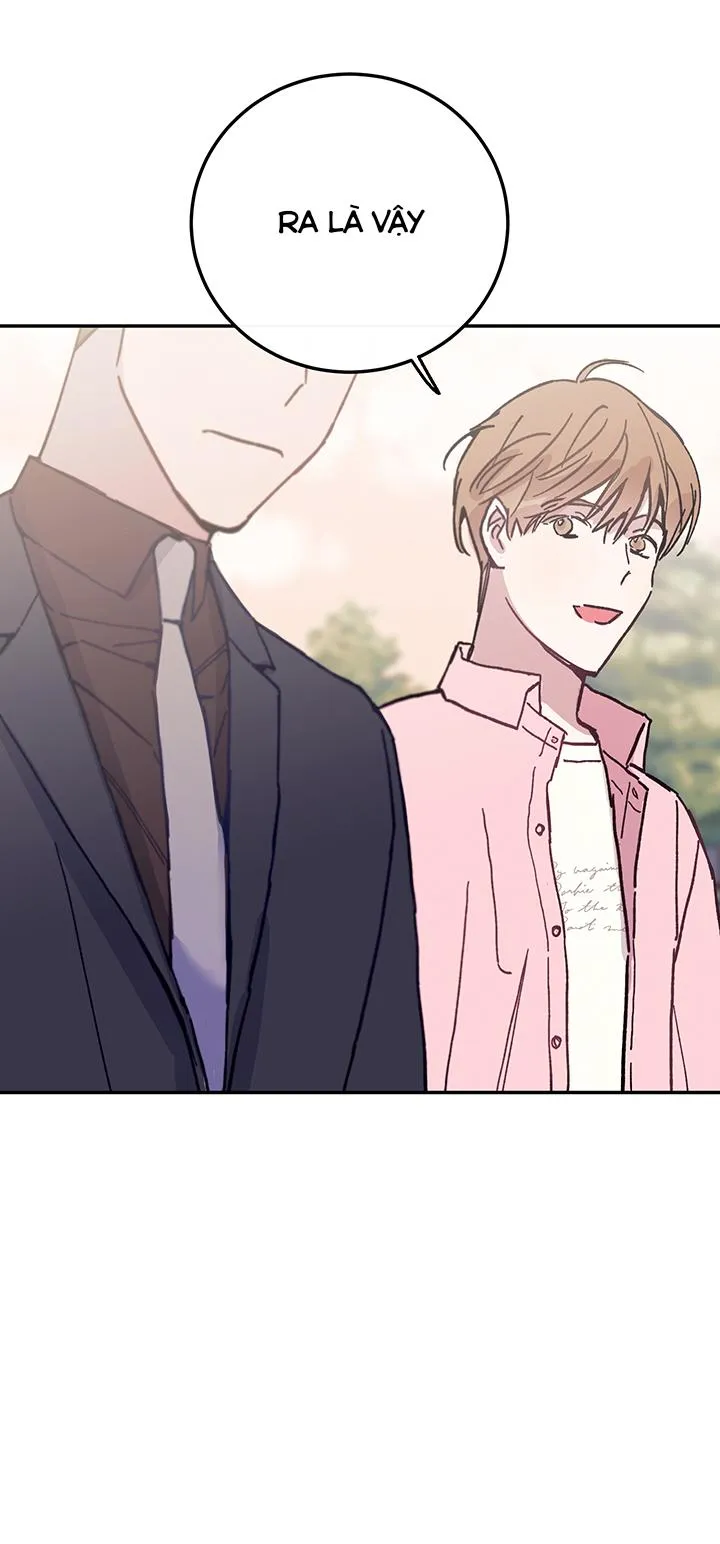 Why Not, CEO? Chapter 28 Trang 53