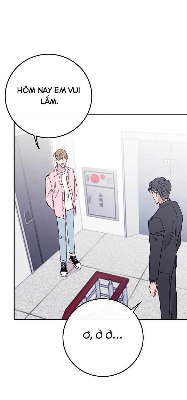 Why Not, CEO? Chapter 29 Trang 22