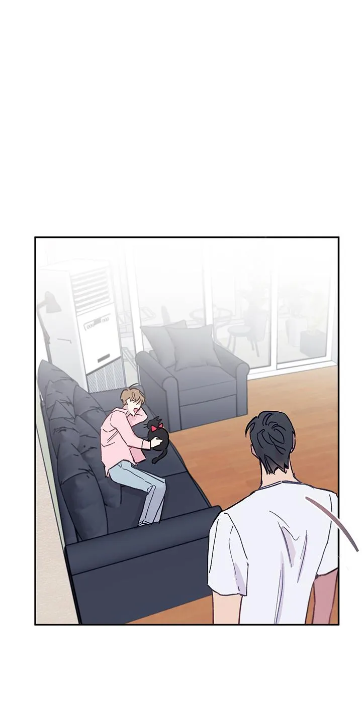 Why Not, CEO? Chapter 29 Trang 35