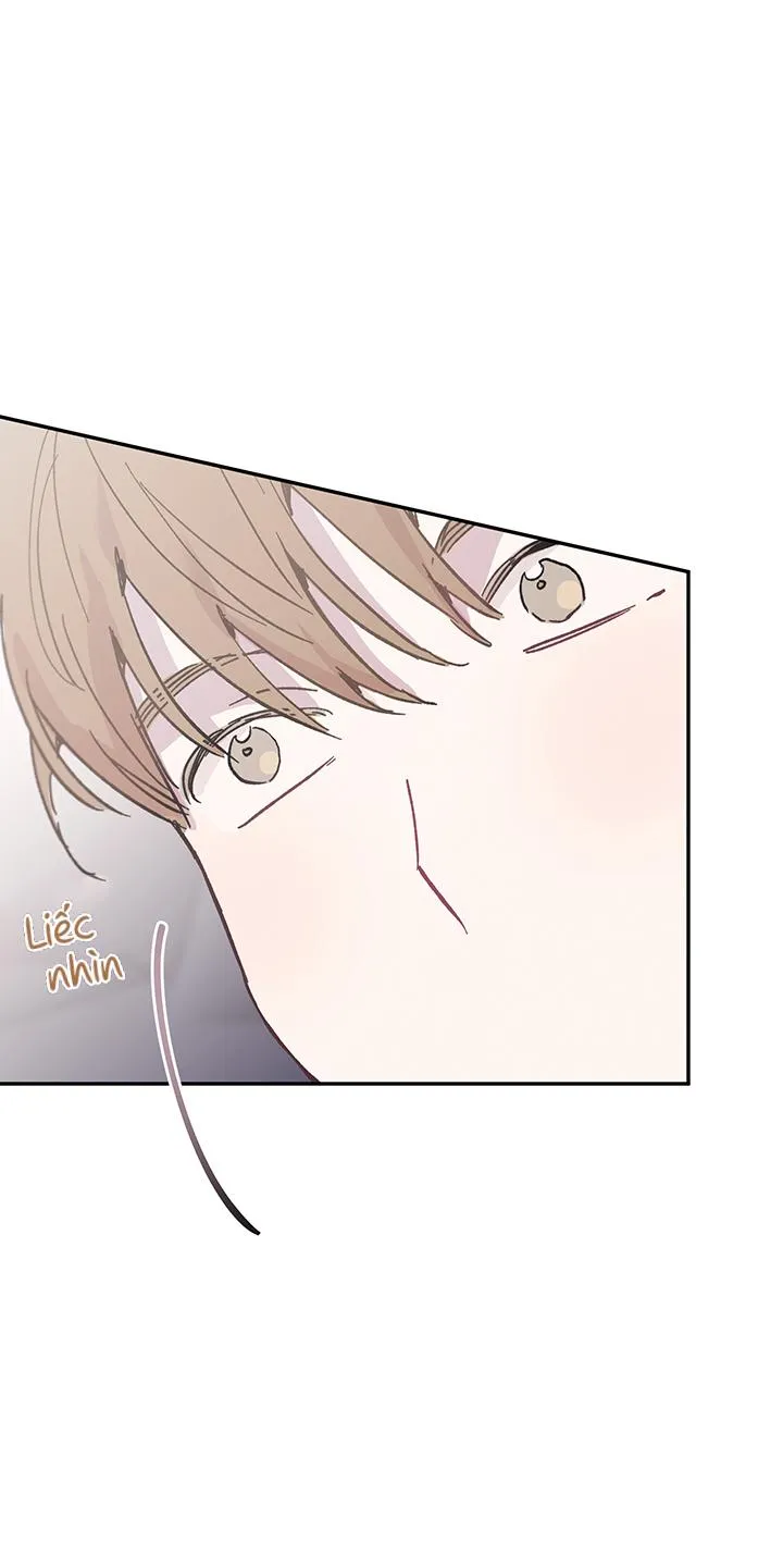 Why Not, CEO? Chapter 29 Trang 49