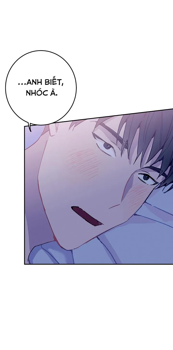 Why Not, CEO? Chapter 29 Trang 64