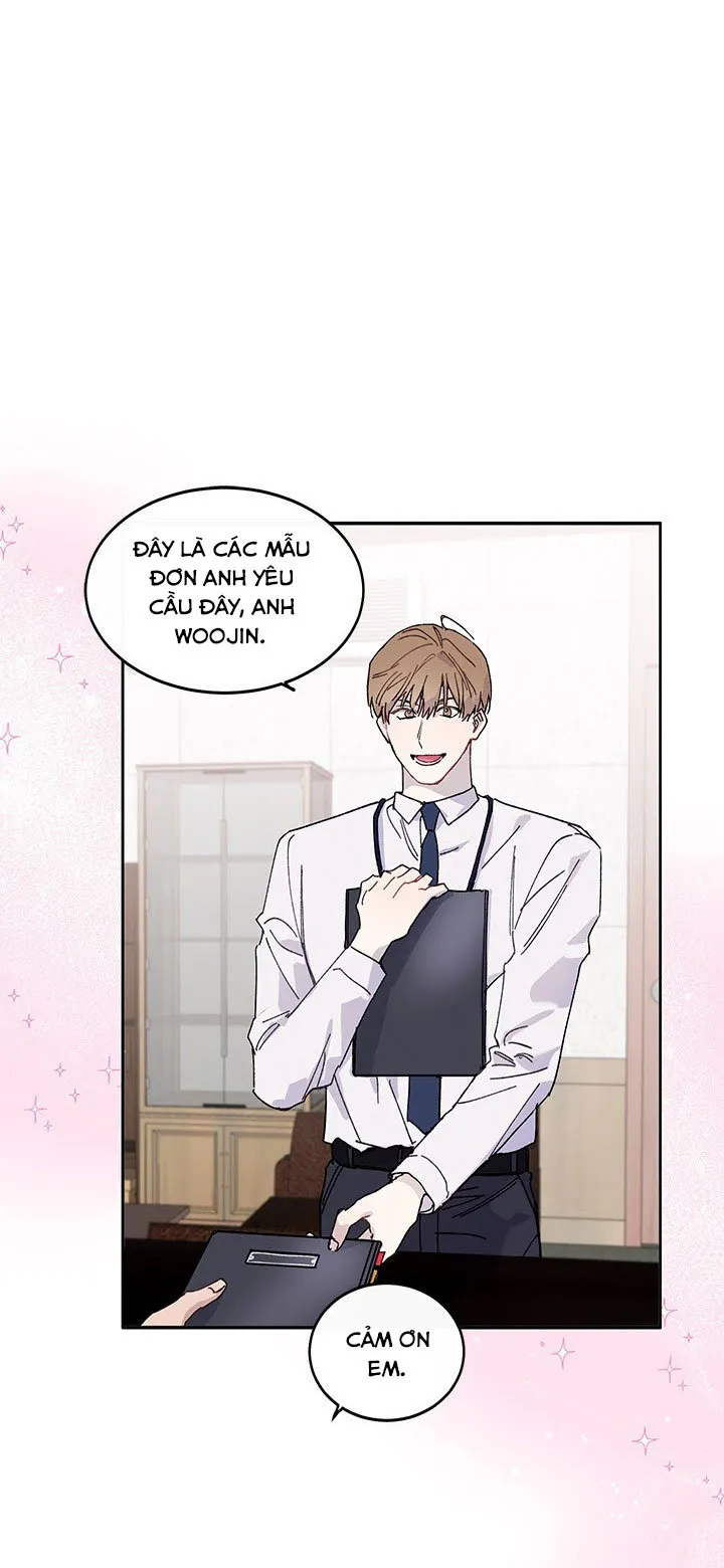 Why Not, CEO? Chapter 3 Trang 11