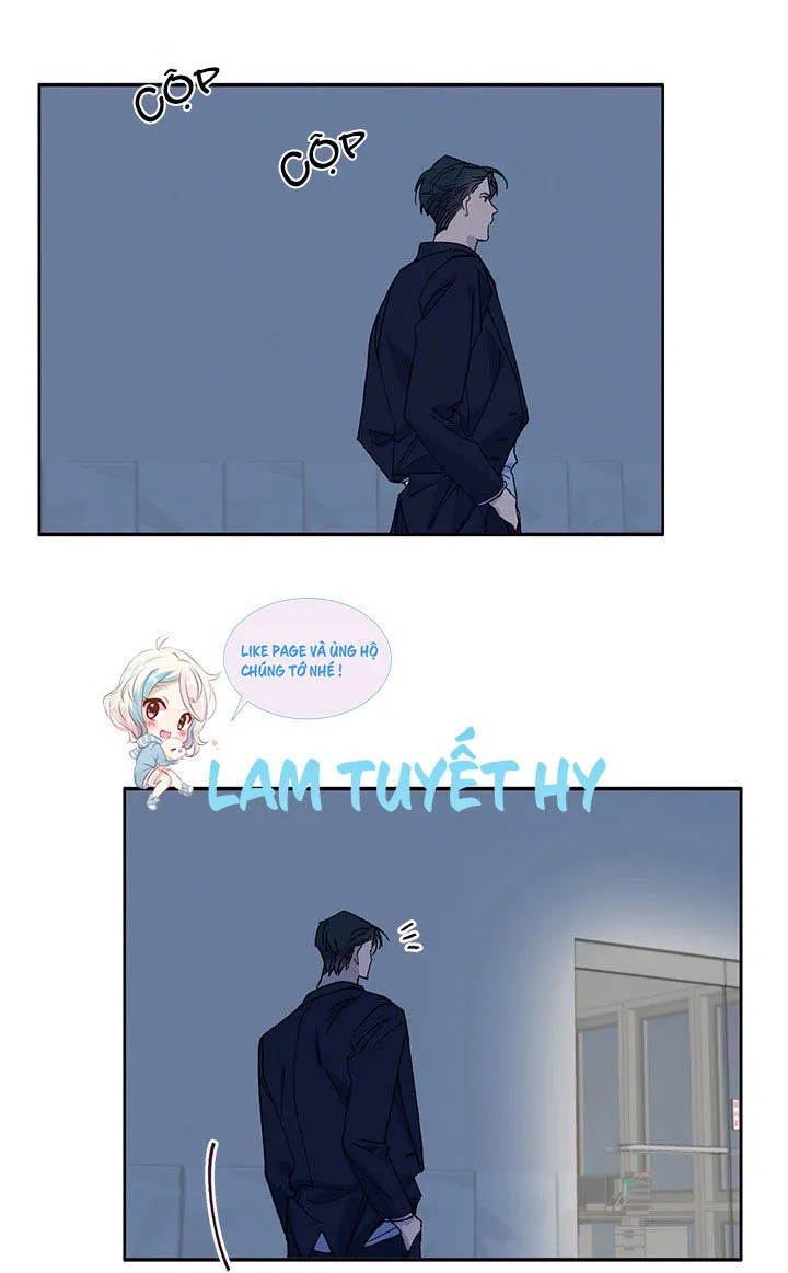 Why Not, CEO? Chapter 3 Trang 31