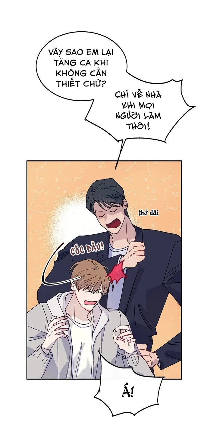 Why Not, CEO? Chapter 3 Trang 37