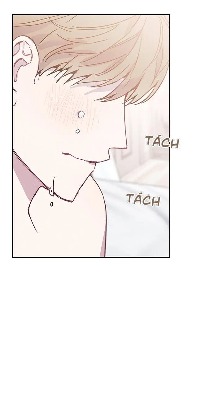 Why Not, CEO? Chapter 30 Trang 22