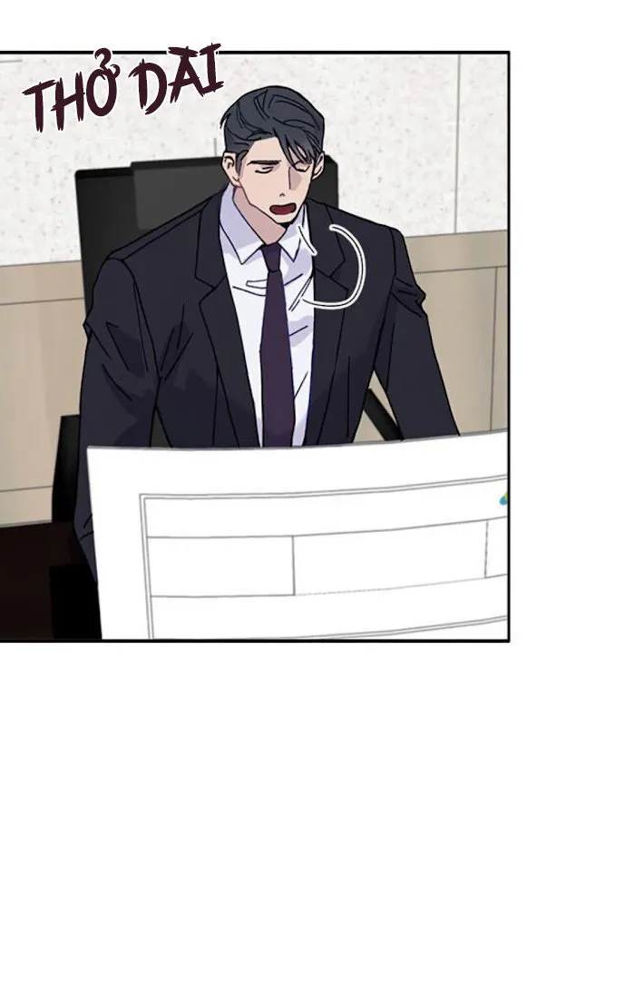 Why Not, CEO? Chapter 5 Trang 19