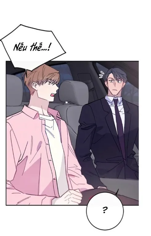 Why Not, CEO? Chapter 5 Trang 41