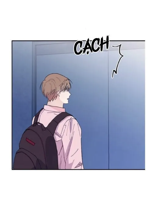 Why Not, CEO? Chapter 5 Trang 59