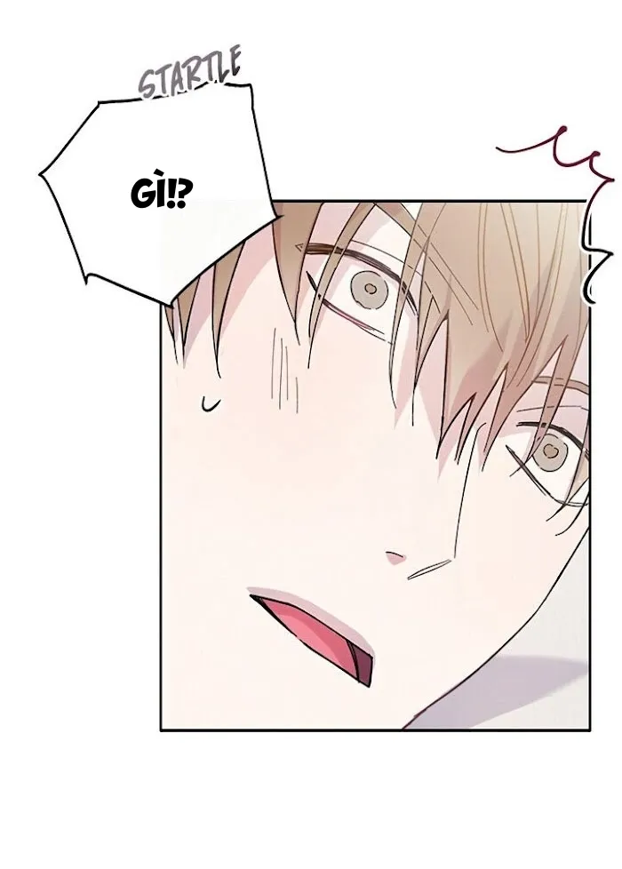 Why Not, CEO? Chapter 6 Trang 8