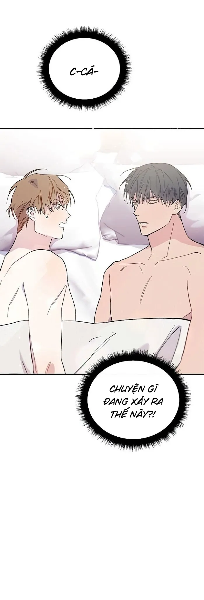 Why Not, CEO? Chapter 6 Trang 9