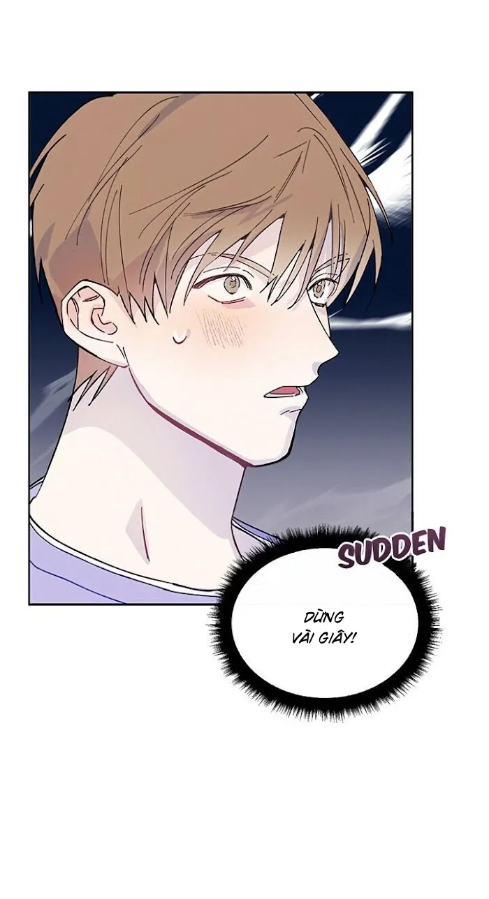 Why Not, CEO? Chapter 6 Trang 17