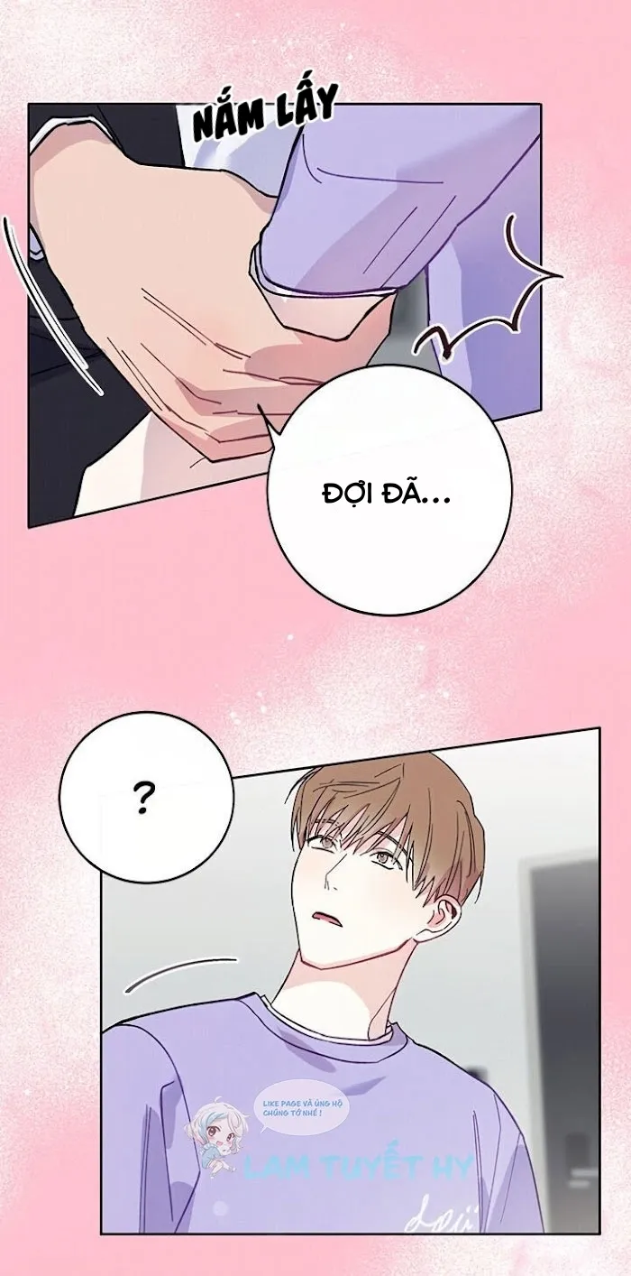 Why Not, CEO? Chapter 6 Trang 21