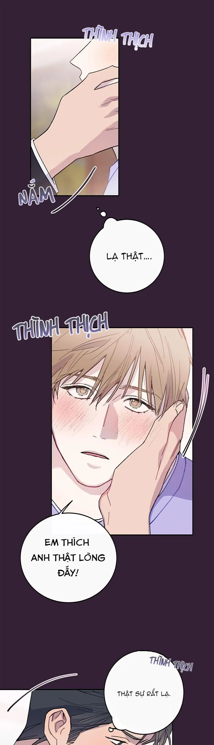 Why Not, CEO? Chapter 7 Trang 13