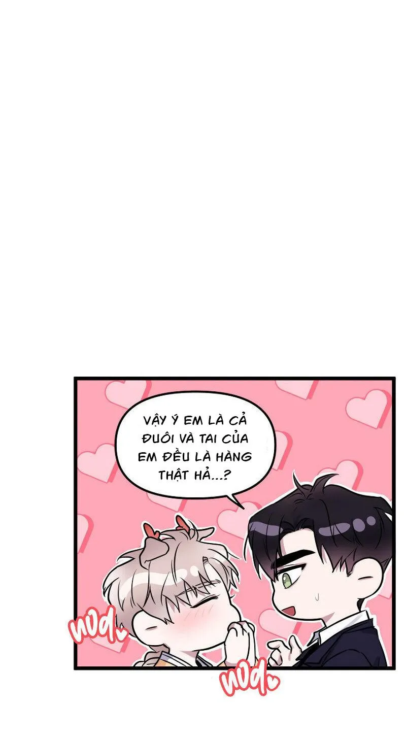 With Your Tail, Yes Chapter 10 Trang 41