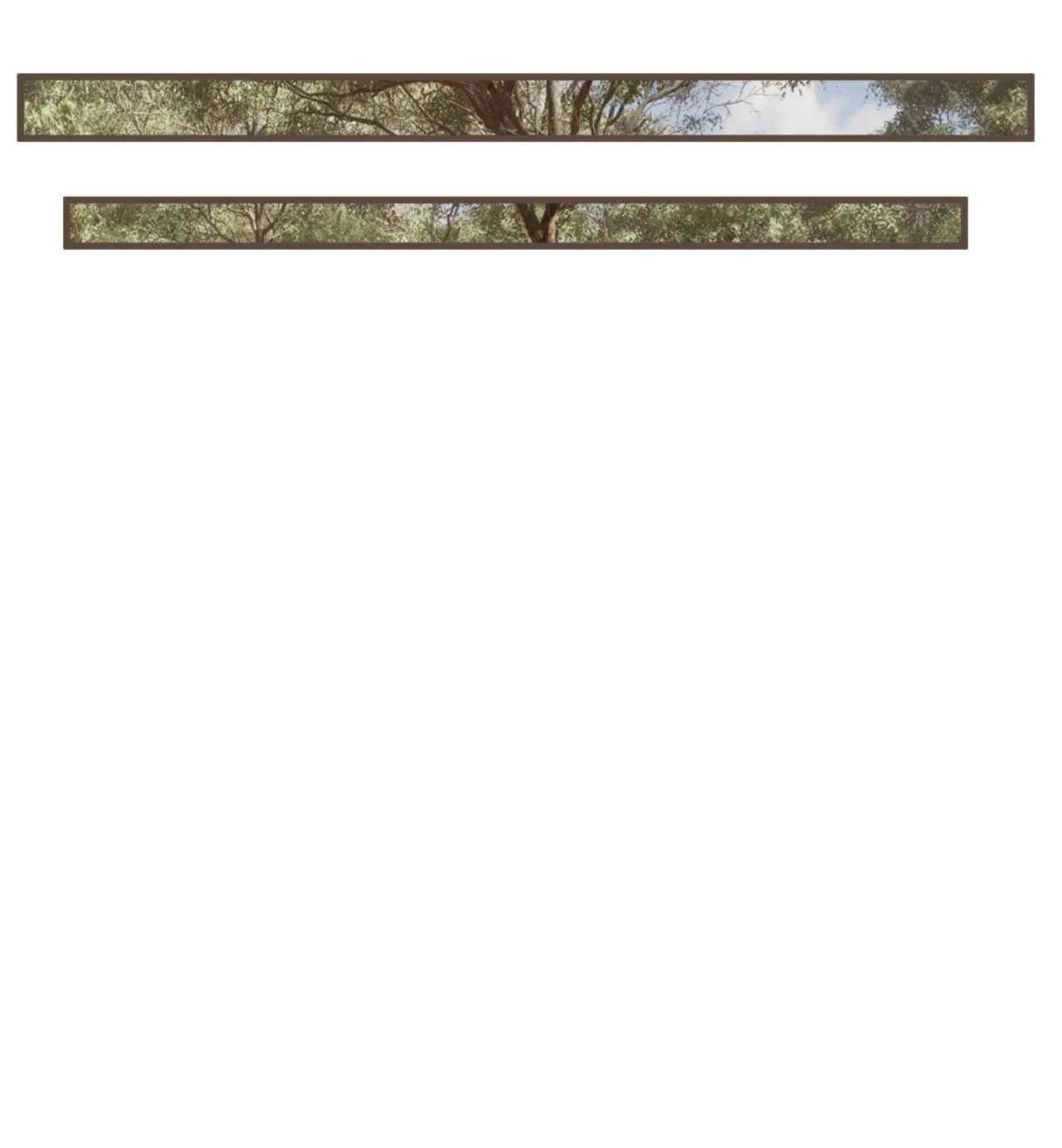 Á NÔ 2 - THÁM HOA Chapter 83 Trang 12