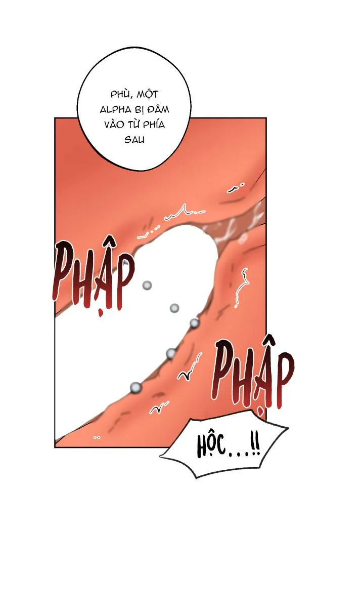 (A x A) Ngày trăng không rạng Chapter 5 Trang 25