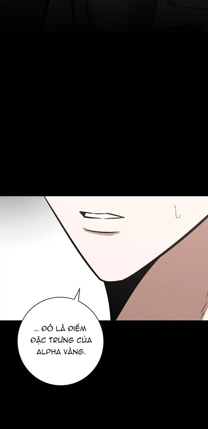 (ABO) BE BE Chapter 11 Trang 60