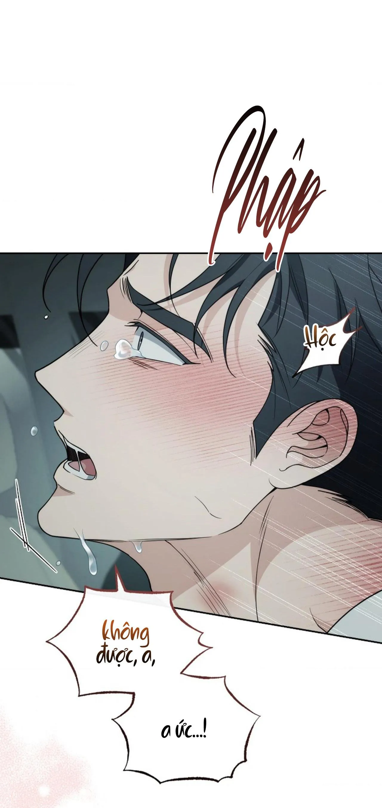 (ABO) MỐI QUAN HỆ KHÔNG HOÀN CHỈNH Chapter 17 Trang 21