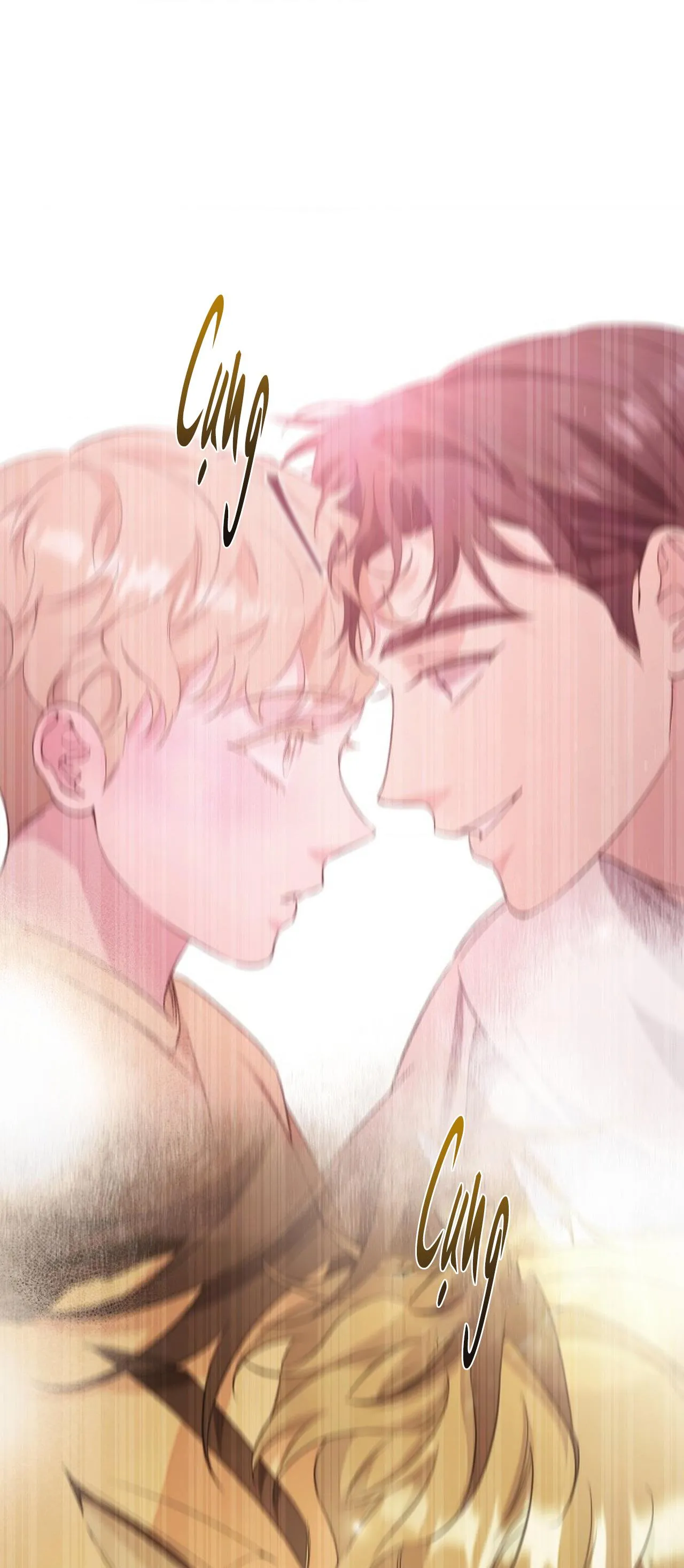 (ABO) MỐI QUAN HỆ KHÔNG HOÀN CHỈNH Chapter 25 Trang 72